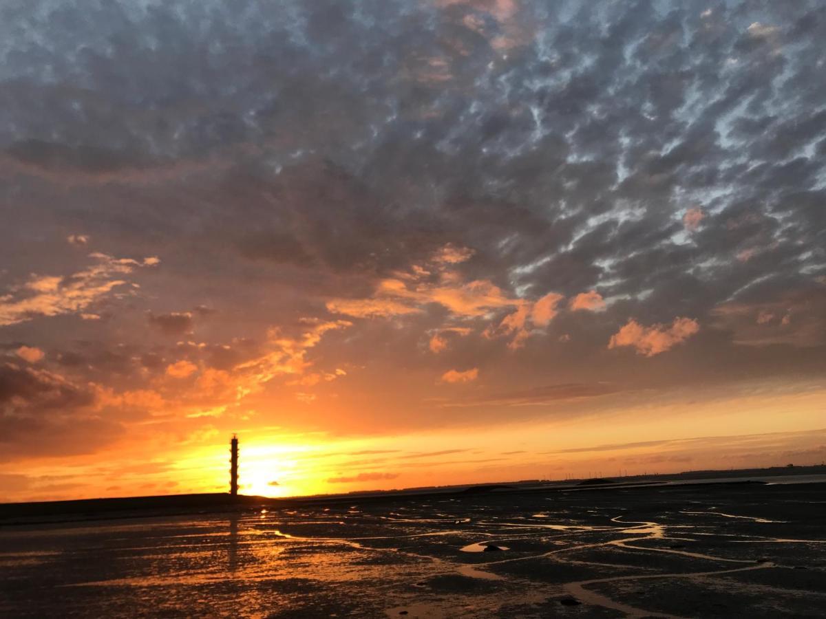 Artistiek Vakantiehuisje Hulst Dış mekan fotoğraf
