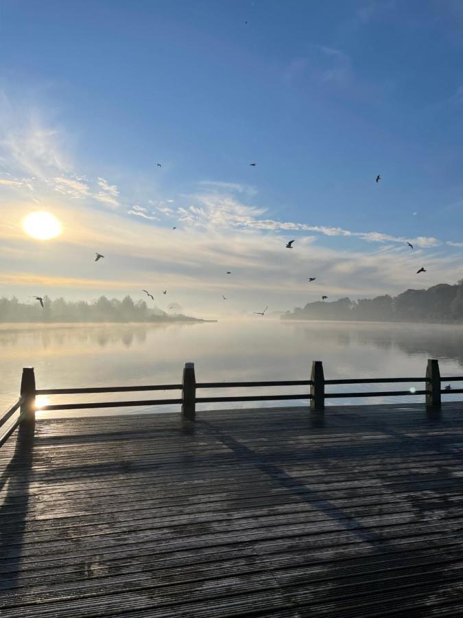 Artistiek Vakantiehuisje Hulst Dış mekan fotoğraf