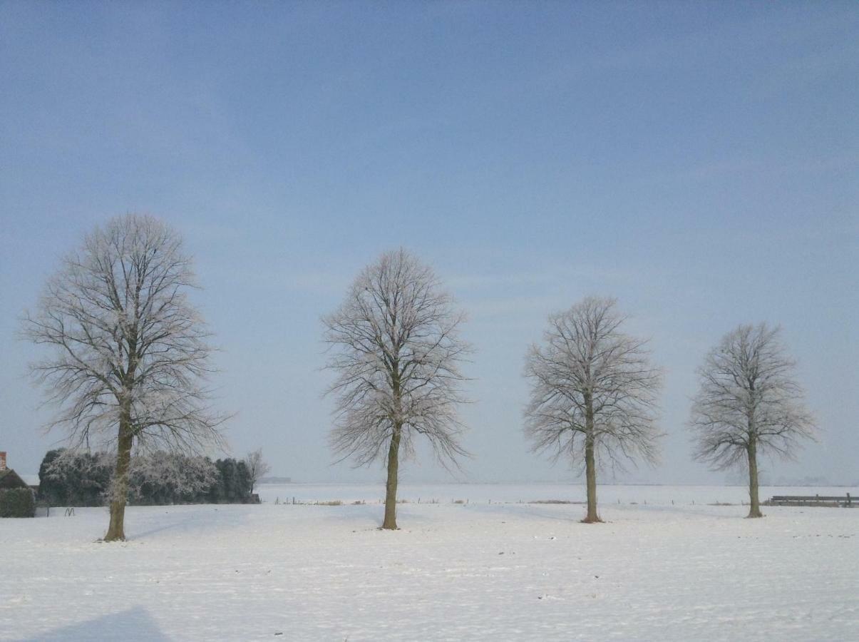 Artistiek Vakantiehuisje Hulst Dış mekan fotoğraf